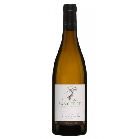 Gérard Boulay Sancerre La Côte 2019