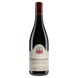 Geantet-Pansiot Chambolle-Musigny 1er Cru Les Feusselottes 2021
