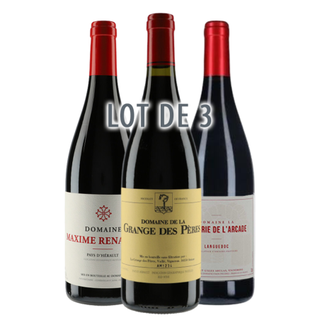 Lot "Grange des Pères + Arcade + Renaudin" Rouge 2020