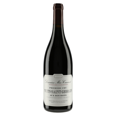 Méo-Camuzet Nuits-St-Georges 1er Cru Aux Boudots 2021