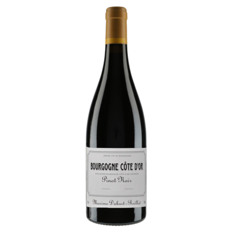 Domaine Maxime Dubuet-Boillot Bourgogne Côte d'Or Pinot Noir 2022