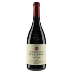 Domaine Robert Groffier Bourgogne Pinot Noir 2023