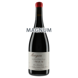 Jean Foillard Morgon Côte du Py 2022 Magnum