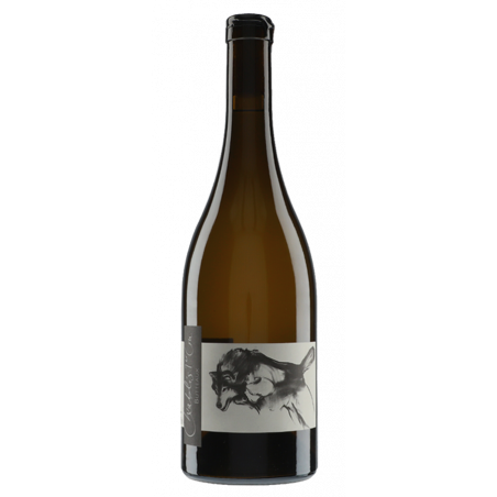 Thomas Pico - Domaine Pattes Loup Chablis 1er Cru Butteaux 2019