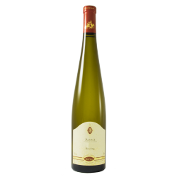 Agathe Bursin Riesling Bollenberg 2023