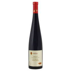 Agathe Bursin Pinot Noir "Lutzeltal " 2022