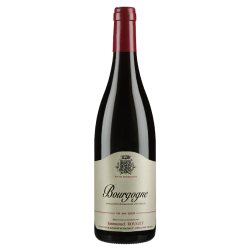 Emmanuel Rouget Bourgogne Pinot Noir 2019