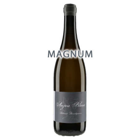 Thibault Boudignon Anjou Blanc 2022 MAGNUM