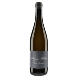 Domaine Thibaud Boudignon Anjou Blanc 2019