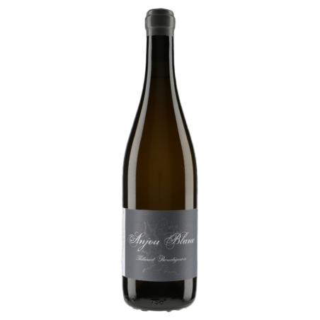 Domaine Thibaud Boudignon Anjou Blanc 2019