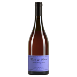 Pataille Marsannay Rosé Fleur de Pinot 2022