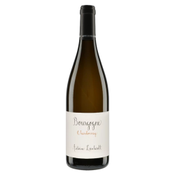 Domaine Antoine Lienhardt Bourgogne Chardonnay 2022