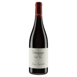 Antoine Lienhardt Bourgogne Pinot Noir 2023