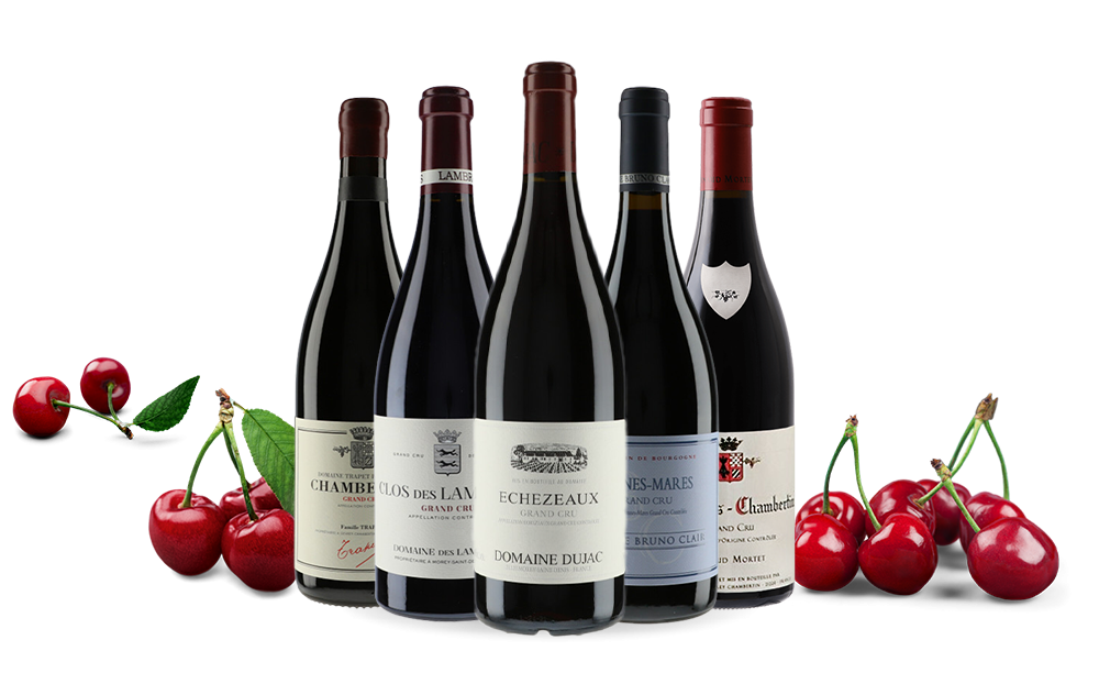 Les Grands Crus de la Côte de Nuits-cover